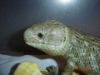 Side head shot.web.jpg
