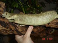 DSC01052.jpg