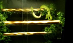 IMAG0041.jpg
