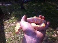 IMG_4035.jpg