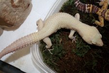 IMG_0172.JPG