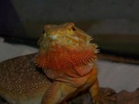 100_8924.jpg
