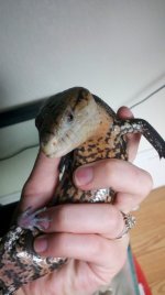 2011-08-05_15-56-08_984.jpg