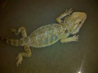 IMG_20110904_080706.jpg