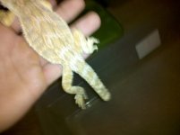 IMG_20110904_080808.jpg
