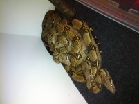 mail-1.jpg