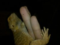 IMG_20110904_081827.jpg