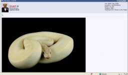 Ivory1.jpg