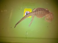 IMG_20110904_081845.jpg