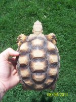 100_5874.jpg
