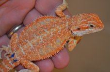 DSC_3525.jpg