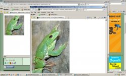 rnc-calphotos screenshot 1.jpg
