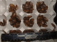 5-23-11 004.jpg