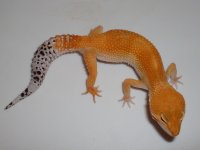 5-18-11 035.jpg