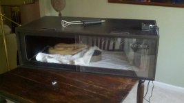 2011-07-27_20-05-04_847.jpg