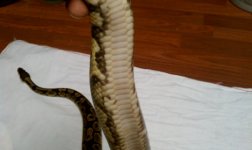 IMAG0122.jpg