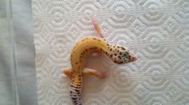 2011-08-19_08-08-46_578.jpg