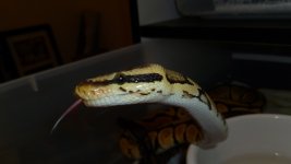 pics 021.jpg
