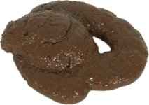 cat-crap-big.jpg