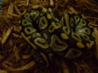 DSC00038.JPG