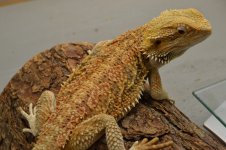 DSC_0834.jpg