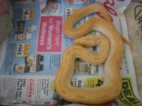 Family and snakes 019.jpg