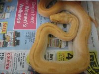 Family and snakes 018.jpg