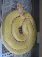 Family and snakes 021.jpg
