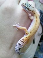 2011-07-16_15-57-22_301.jpg