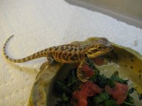 IMG_5201.jpg