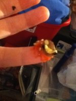 CLOWN 004.JPG