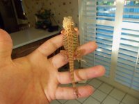 100_0185.jpg