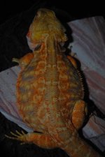 DSC_3285_ws.jpg