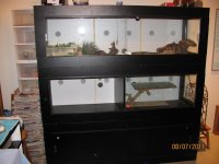 IMG_4162.jpg