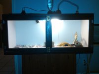 IMG00445-20110904-0104.jpg