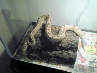 2011-06-11_23-16-13_736_2.jpg