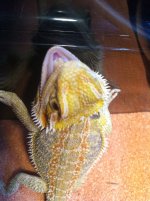 IMG_1205.jpg