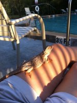 IMG_2345.jpg