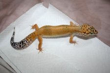 IMG_9887.JPG