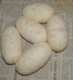 DSCF0003.JPG