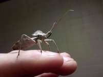 IMG_20110505_122550.jpg