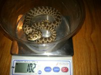 photo (10).jpg