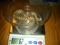 photo (13).jpg