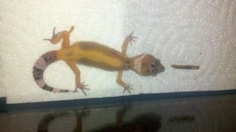 2011-07-20_13-06-09_579.jpg