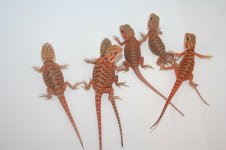 groupshot.JPG