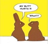 easter-bunnies.jpg