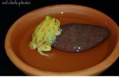 1 A Albino Fun 004_edited-1.jpg