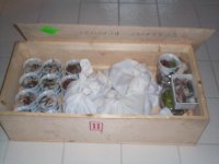 Box 1.jpg