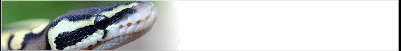 bpython-banner_b14.gif