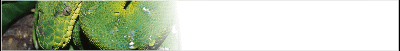 aboreal-banner_b2.gif